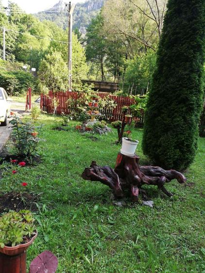 Vand casa de vacanta! - 2