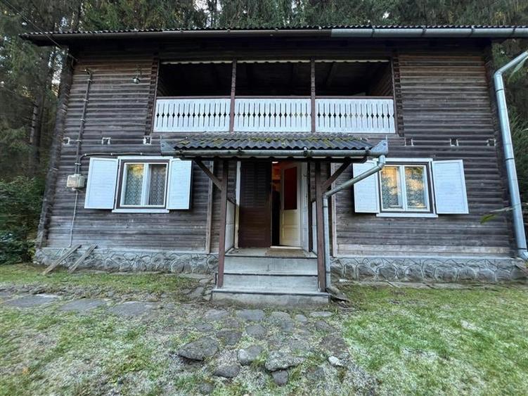 Casa de vacanta (Ciobotani, jud. Mures) - 1