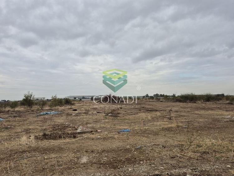 Oportunitate - Teren Chitila - 13.700 mp - pretabil pentru hale - 6