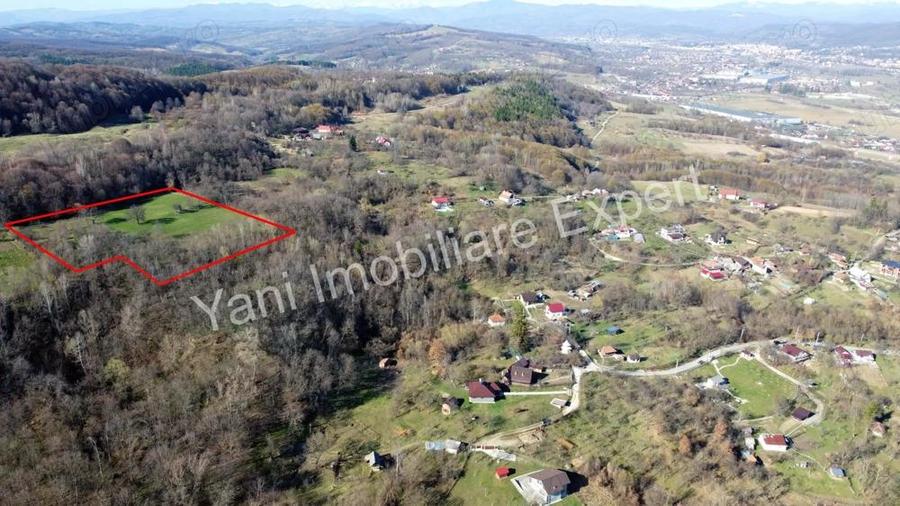 Teren 13.643 mp intravilan de vanzare in Curtea de Arge?. - 1