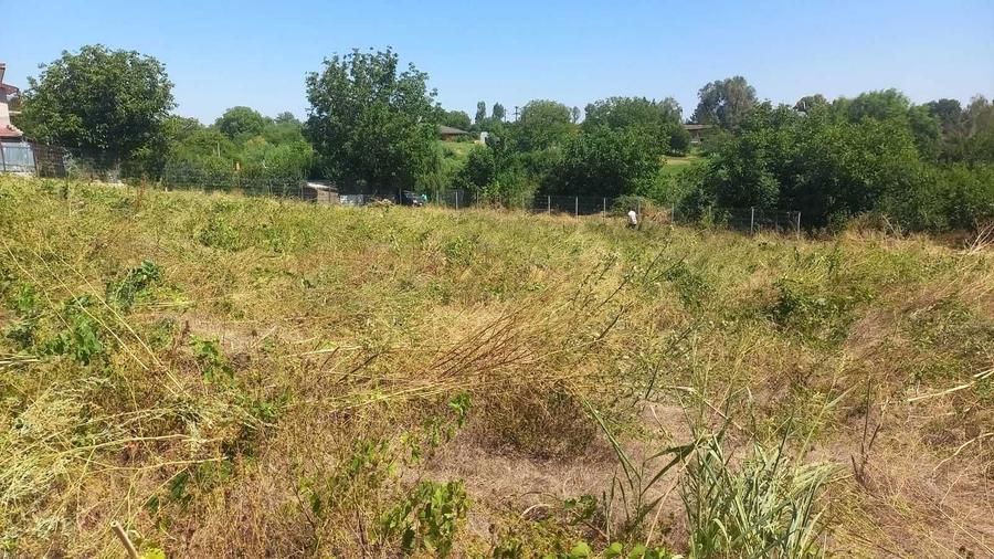 Vand teren in Ganeasa Ilfov, langa lac si padure. - 4