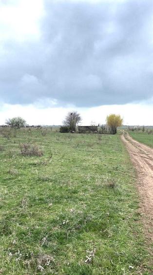 Teren extravilan Craiova/Ghercesti, in spatele aeroportului, 1000 m2 - 2