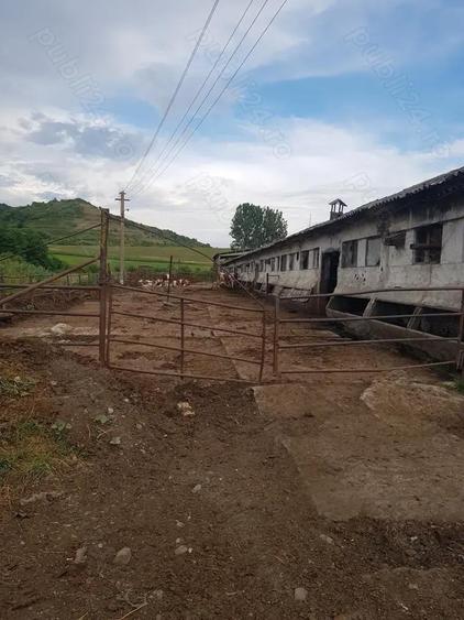 Grajd de vanzare Sangeorgiu de Padure jud mures - 4