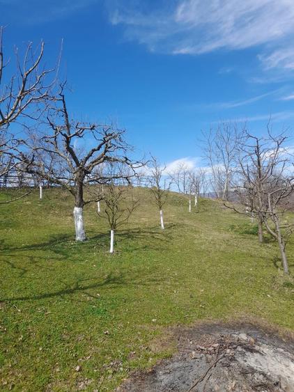Casa batraneasca - 5