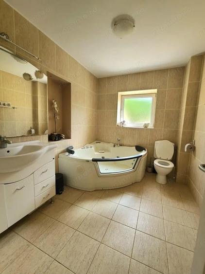 Casa superba in Corunca (potrivita si pentru pensiune) - 6