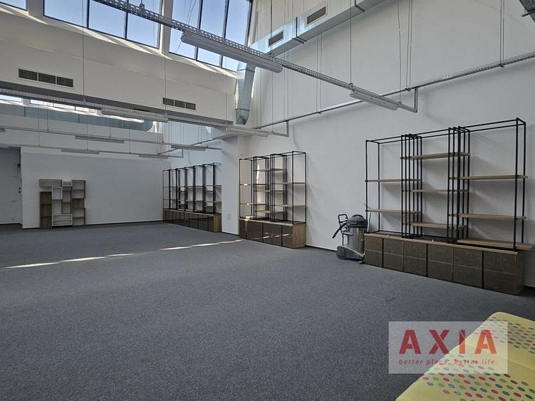 Spatiu birou 980 mp - Domenii Park - 11