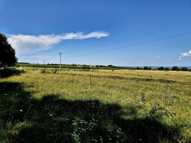 Comision 0 %, teren intravilan Sambata de Sus, ideal cabana weekend - 5