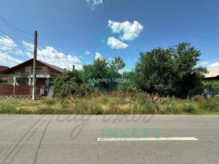 Teren 16534 mp pentru dezvoltare rezidențială, Siliștea Snagovului