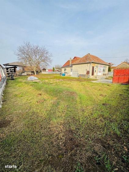 Spatiu Comercial in Rosiori - 10