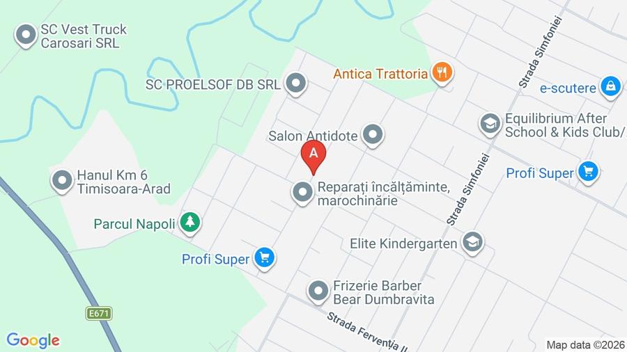 Casă de Lux Stil Neo-Clasic | Dumbrăvița - Zona Cora | Premium - 10