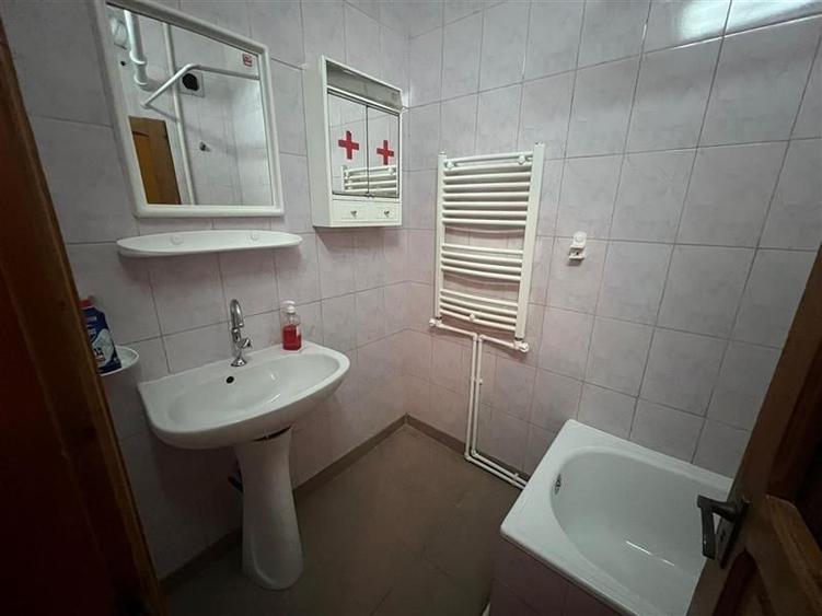 Garsonieră ultracentrală, renovată, vedere parc – Parcul Cancicov - 11