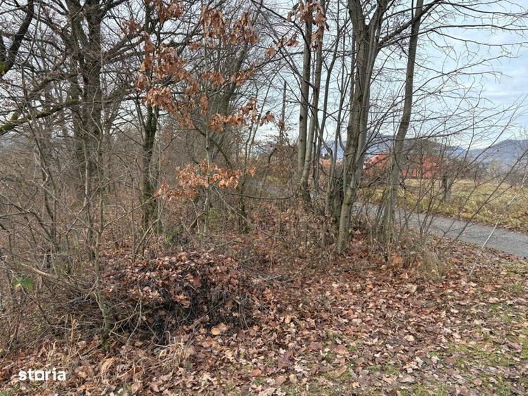 Teren Sisesti la soseaua principala ,langa pensiunea Madlene ,1 ha - 1