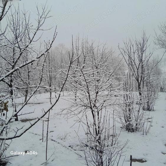 Vand casa in Amna? - 3