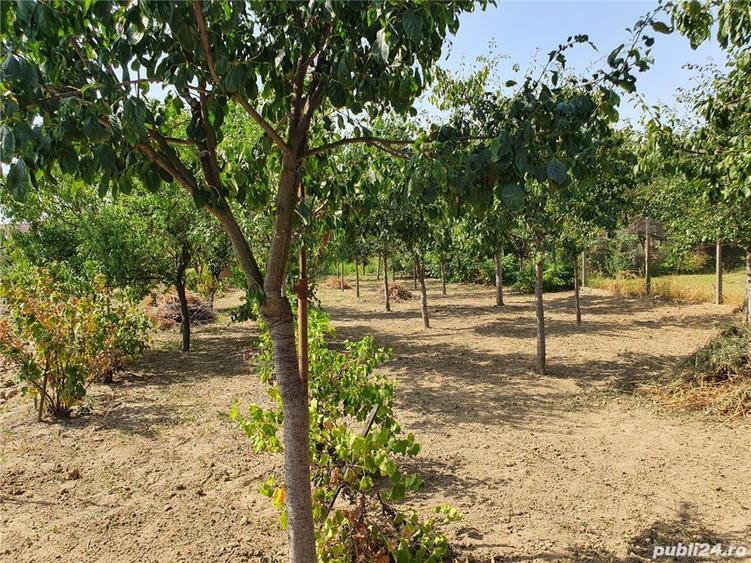 Proprietar vand casa in Lugoj - 6