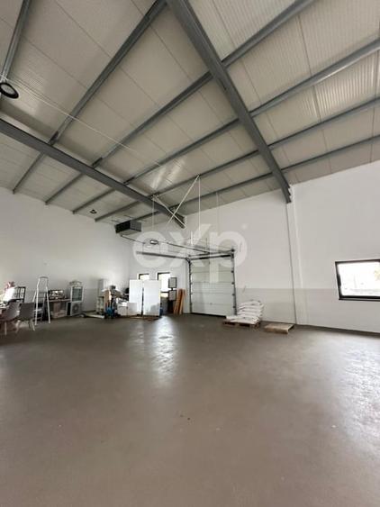 Hala Productie Premium | Teren 4.700mp - 6