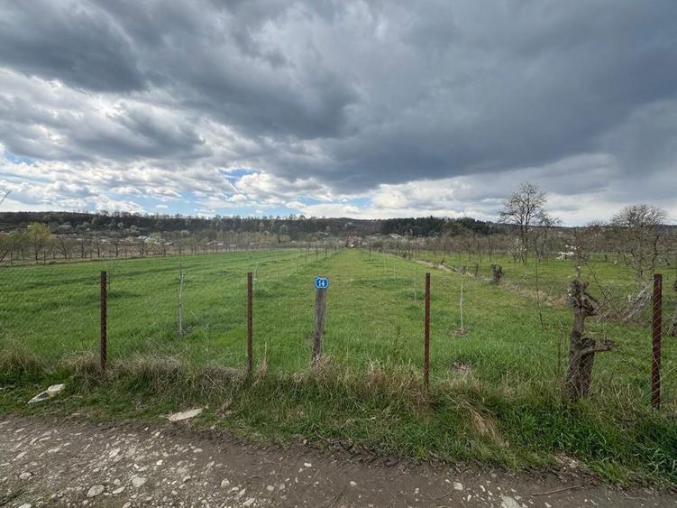 Teren intravilan! - 4