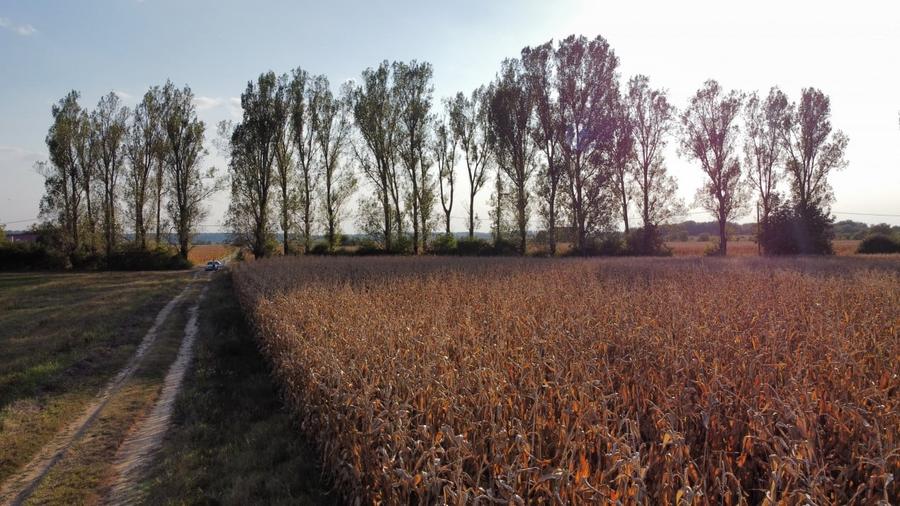 Teren rezidential retras langa lac SNAGOV in Silistea Snagovului, DN1, A3 - 9