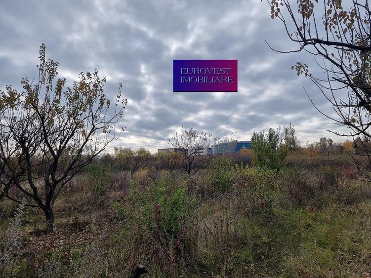 Oportunitate! Teren intravilan, 2000 mp, Baneasa, aeroport - 3