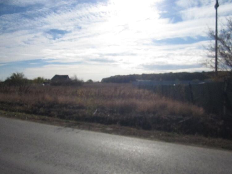 Teghes-Caragea Voda - 3