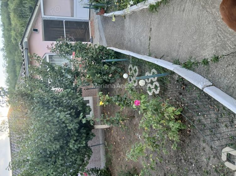 Casa cu gradina in Probota Iasi. Casa cu gradina in Probota Iasi.