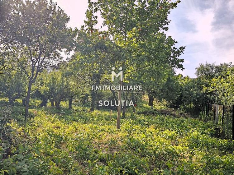 Teren intravilan 10 ari, zona Grigore Ureche, PUZ! - 5