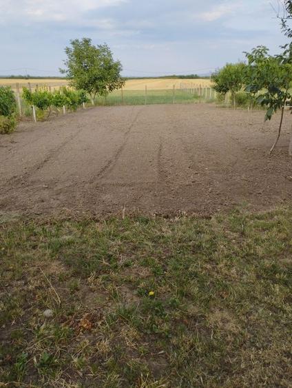 Casa de vanzare in Satu Nou - 8