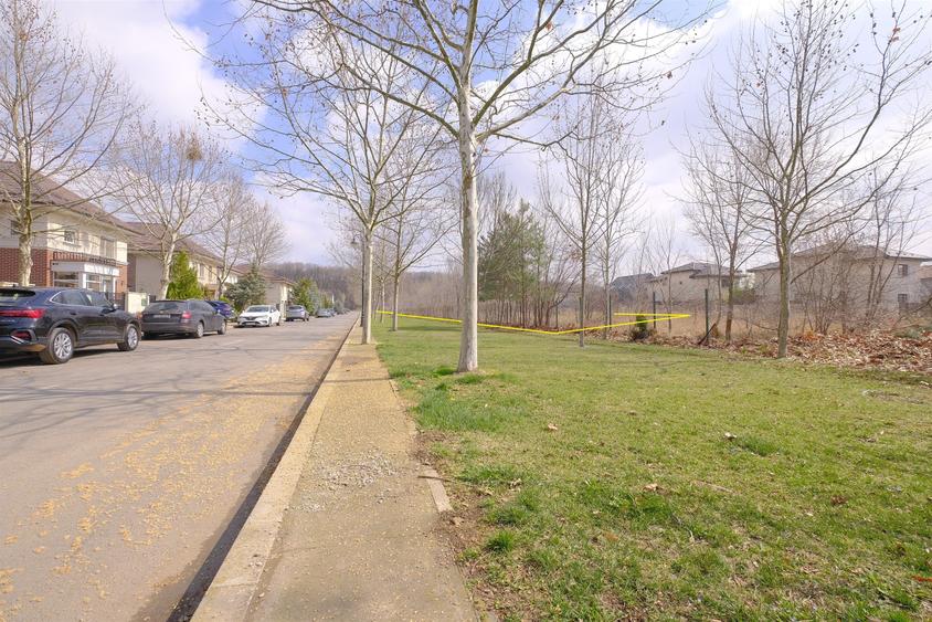 CORBEANCA - Tamasi - Corbeanca Park, 6.688 mp. teren excelent, lipit de padure - 3