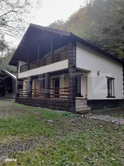 CABANA DACICA Refugiu premium la poalele Muntilor Dacici, in inima - 10