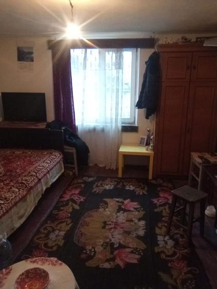 Casa cu teren 4500 mp - 3