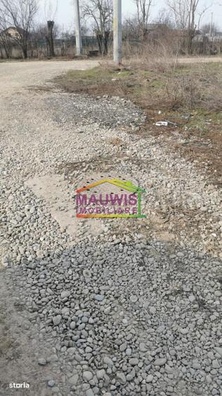 Vanzari Terenuri ILFOV - EST TANGANU - 3