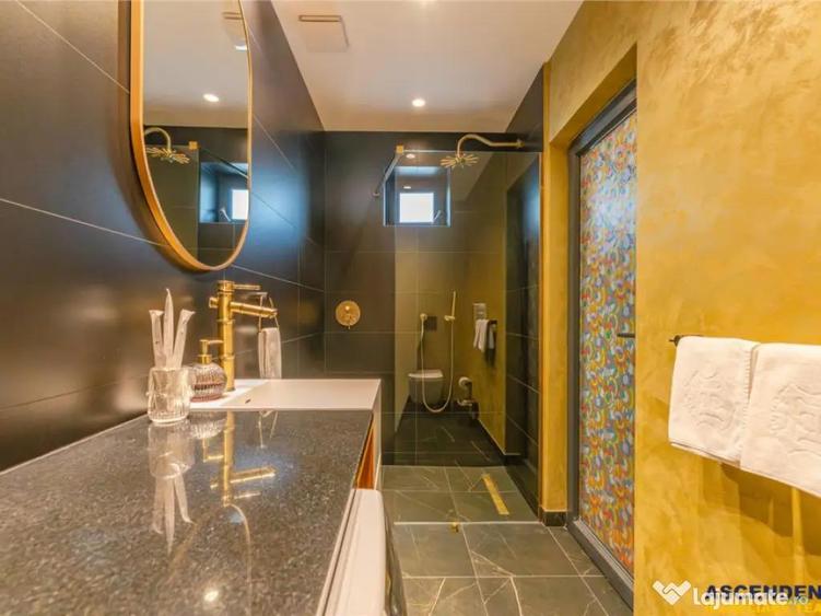 Pretabila si clinica sediu firma:Vila high tech,semineu,jacu - 4