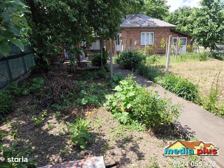 Casa cu teren 1374 mp in vatra veche a comunei Vanatori 56.000 Euro - 6