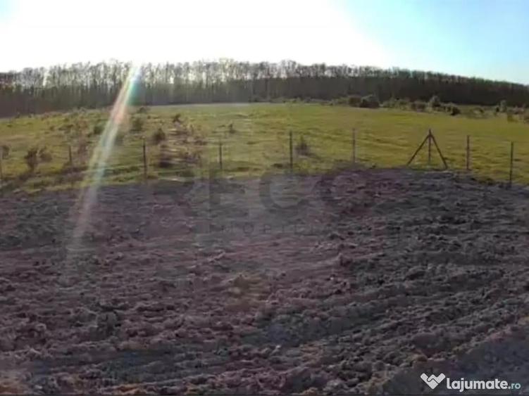 Teren Intravilan de Pausa, Bihor ,14 km de Oradea - 1