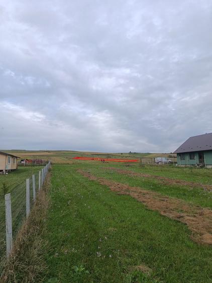 Teren in Salistea Noua - Com Baciu 2458mp - 9