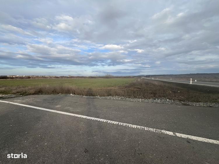 Teren 7481 mp, cu acces facil la Inelul Metropolitan - 3