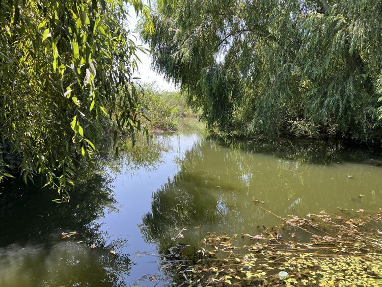 Teren Manastirea Snagov. Deschidere lac 22 m. Front stradal 30 metri. - 7