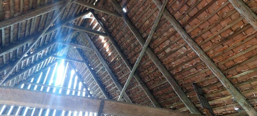 Casa renovabila 4cam, 800mp teren,spre vanzare in Fantanele - 11