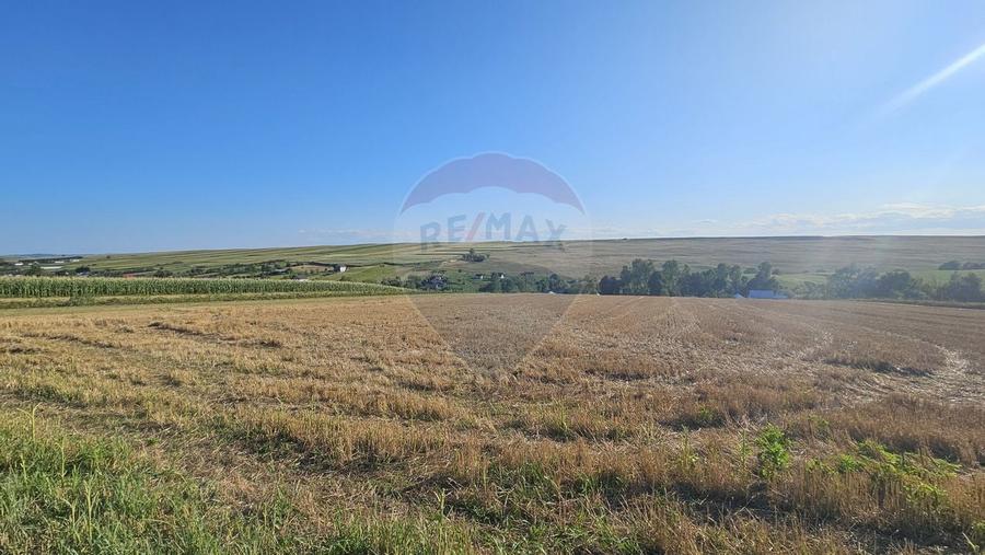 Teren intravilan, 7500 mp in Moara Carp / Strada Eternitatii-Suceava - 10