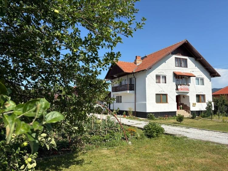 Casă Spațioasă și Domeniu Generos de Vânzare în sat Râu Barbat, comuna Pui, HD - 11