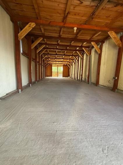 Casa individuala, 7 camere, parter+mansarda, 220 mp - Braytim - 14