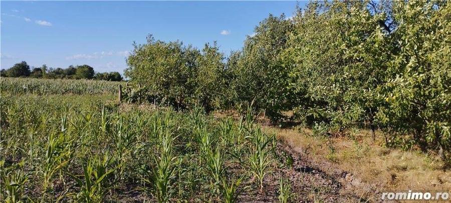 Casa cu teren ?i front stradal generos - 7