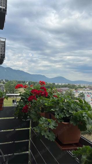 Vand apartament 2 camere decomandat, Avantgarden 3 Brasov - 9