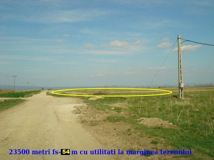 teren in zona de ferme - 3