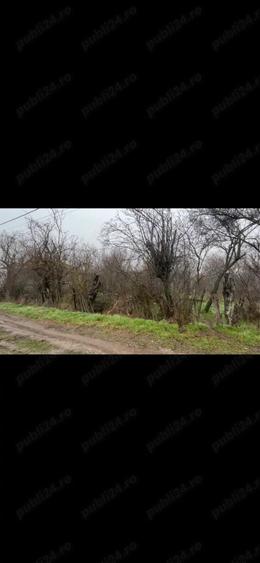 Teren vanzare + constructie 2499 mp electricitate+apa - 8