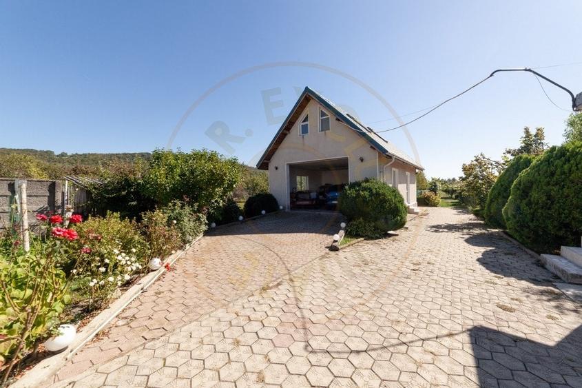 Casa visurilor cu livada roditoare si gradina amenajata Darmanesti-Arges - 15