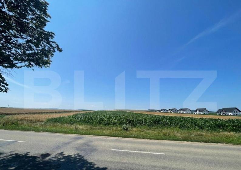 Teren Intravilan, 10300 mp, zona Mitocului - 3