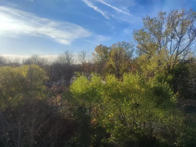 Casa 5 Camere Otopeni |Mansarda | Semicentral | Zona Linistita - 12