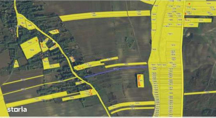 Teren intravilan/extravilan Ciofeni, ID: R3013251 - 6