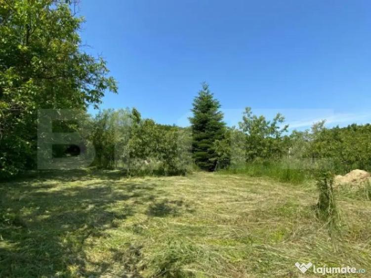 Teren intravilan de vanzare 30 ari Zona Podul Jelne - 1