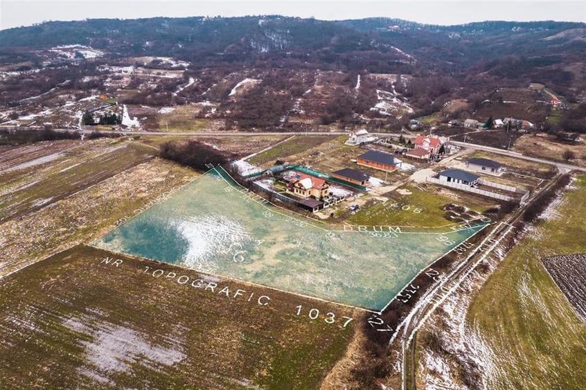 Reco Teren intravilan 5755 mp zona Podgoria - 7